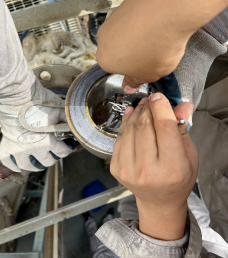 图片关键词 图片关键词